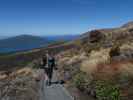 Tongariro Alpine Crossing: Markus am Ketetahi Track (23. Nov.)