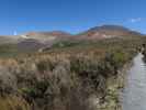 Tongariro Alpine Crossing: Ketetahi Track (23. Nov.)