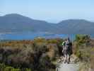 Tongariro Alpine Crossing: Markus am Ketetahi Track (23. Nov.)