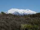 Mount Ruapehu (23. Nov.)