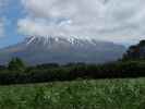 Mount Taranaki von der Manaia Road aus (24. Nov.)