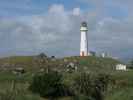 Cape Egmont Lighthouse (24. Nov.)