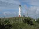 Cape Egmont Lighthouse (24. Nov.)