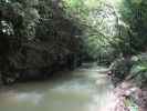 Waitomo Stream (25. Nov.)