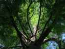 beim Waikato Riverside Walk in Hamilton (25. Nov.)