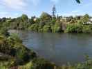 Waikato River (25. Nov.)