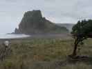 Markus am Piha Beach (26. Nov.)