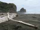 Piha Beach (26. Nov.)