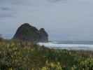 Piha Beach (26. Nov.)