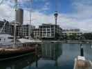 Viaduct Harbour in Auckland (27. Nov.)