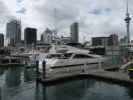 Viaduct Harbour in Auckland (27. Nov.)