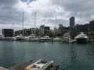 Viaduct Harbour in Auckland (27. Nov.)