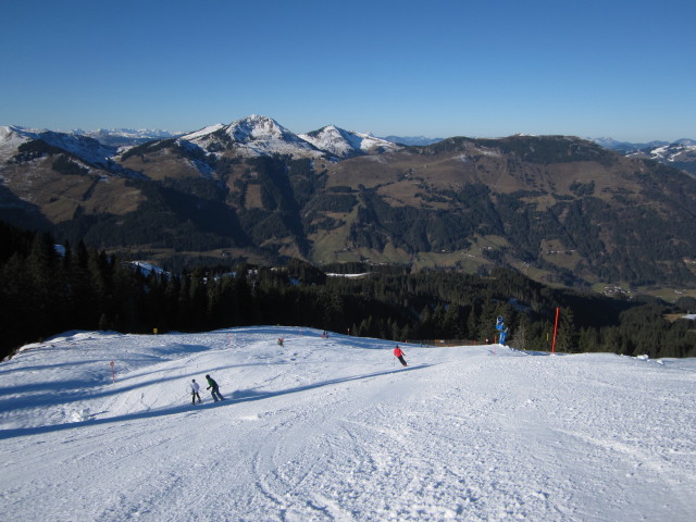 Ronald auf der Brunn-K&auml;lberwald-Abfahrt