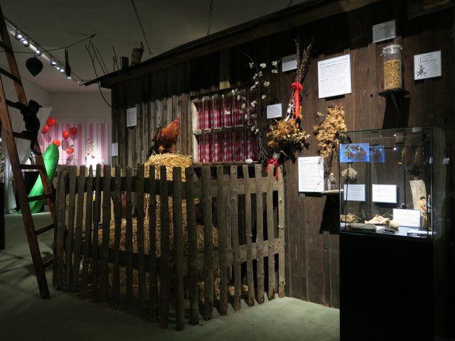 Sonderausstellung 'Warzenkraut und Krötenstein' im Landesmuseum