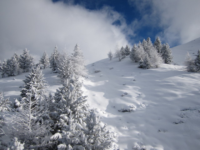 neben der Weinbergbahn