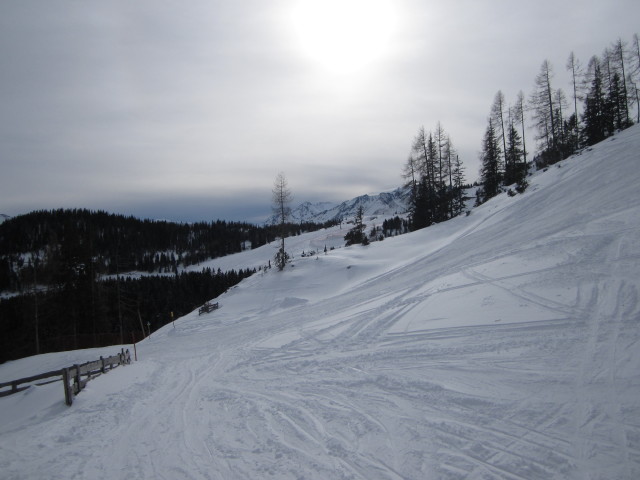 Piste Waldalm - Einöd - Heimalm