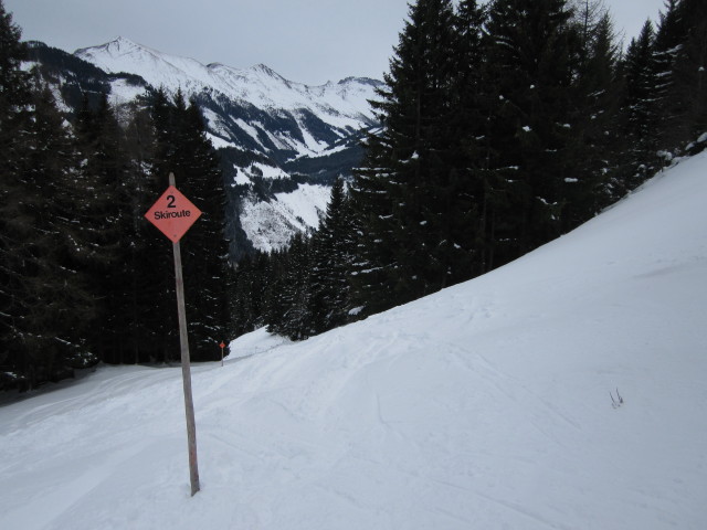 Skiroute Örg-Alm