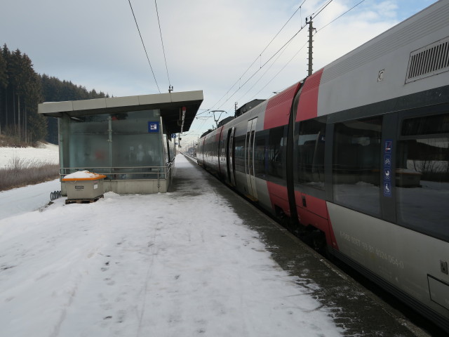 REX 3006 im Bahnhof Neumarkt-Köstendorf, 544 m (3. Jän.)