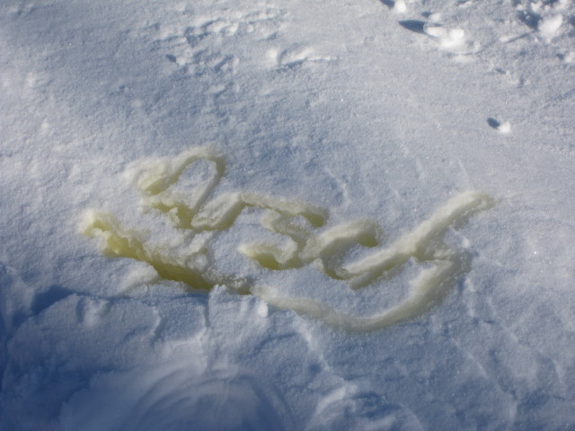 Piste Plan (10. März)