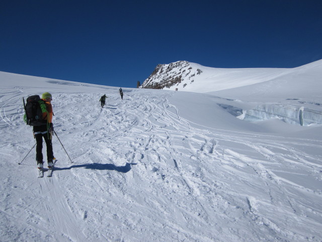 Rudolf am Stockjigletscher (20. M&auml;rz)