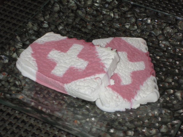 Hotel du Glacier in Arolla, 2.006 m (20. M&auml;rz)