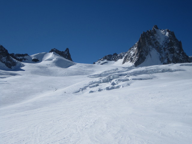 Glacier du Géant