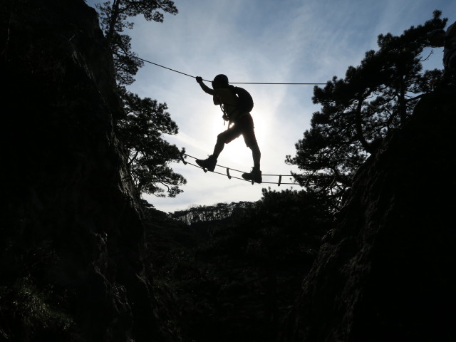 Jörg auf der Seilbrücke