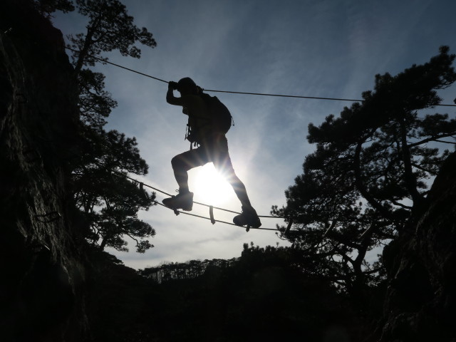 J&ouml;rg auf der Seilbr&uuml;cke