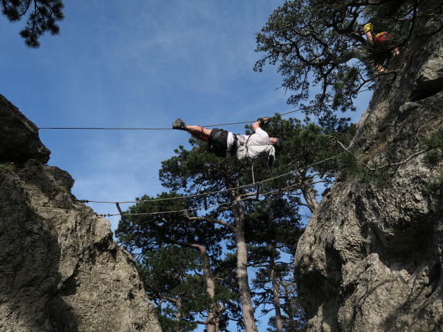 Erich auf der Seilbr&uuml;cke