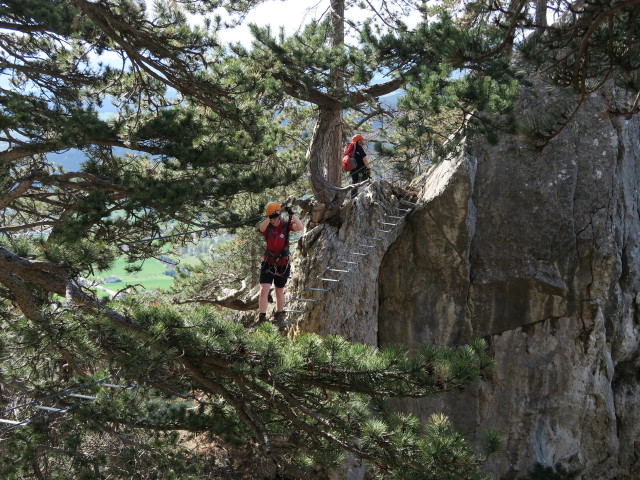 Gebirgsvereins-Klettersteig: Hannelore auf der Seilbr&uuml;cke