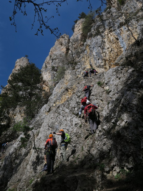 Wildenauer-Klettersteig: Einstiegswand