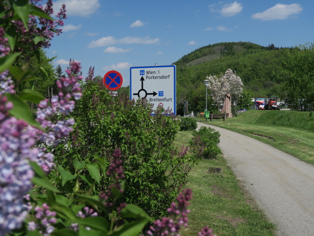 beim Wienerwaldsee, 289 m