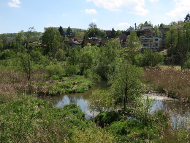 Wien beim Wienerwaldsee, 289 m