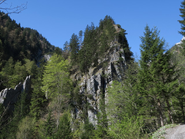 Burgruine Valkastiel, 1.014 m