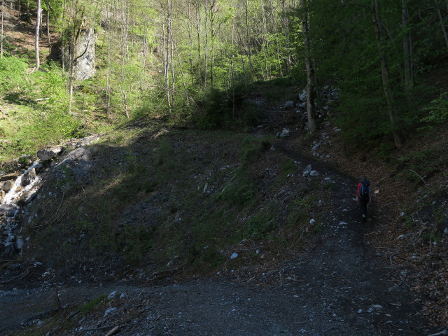 Marisa zwischen St. Anton im Montafon und Klettersteig 'Wasserfall St. Anton im Montafon'