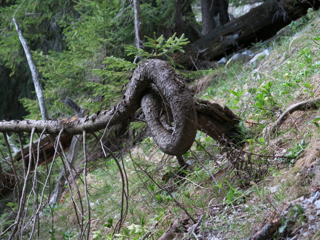 zwischen Wegscheid und Spielmäuern