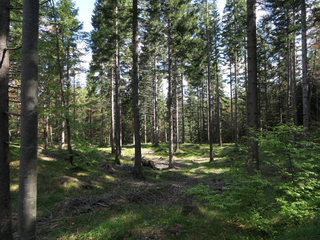zwischen Oberdrauburg und Mitterkeilhütte