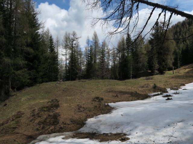 zwischen Marktalm und Ochsenalm