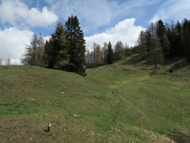 zwischen Marktalm und Ochsenalm