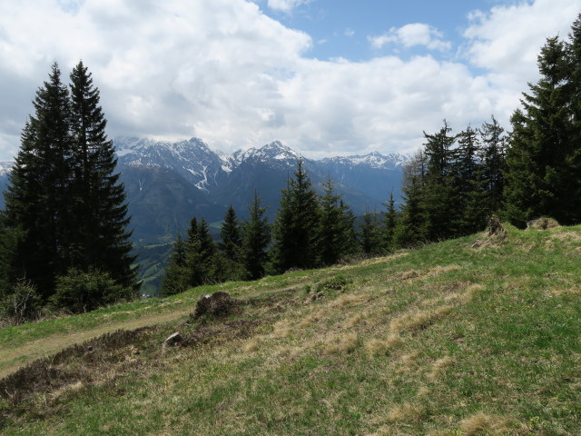 zwischen Ochsenalm und Stelzling