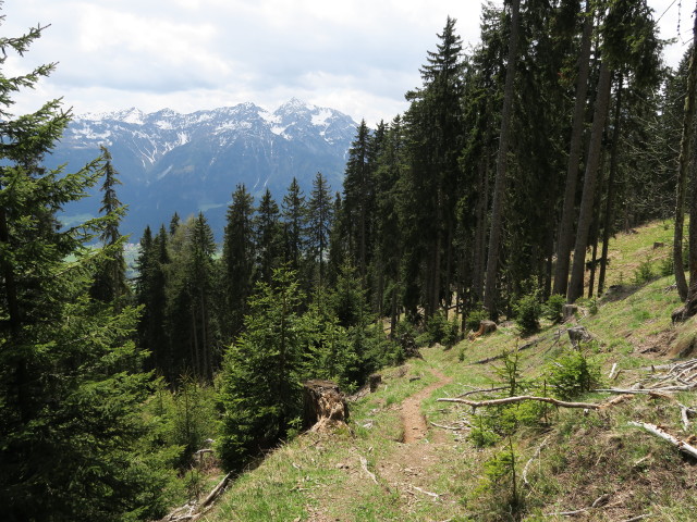 zwischen Ochsenalm und Stelzling