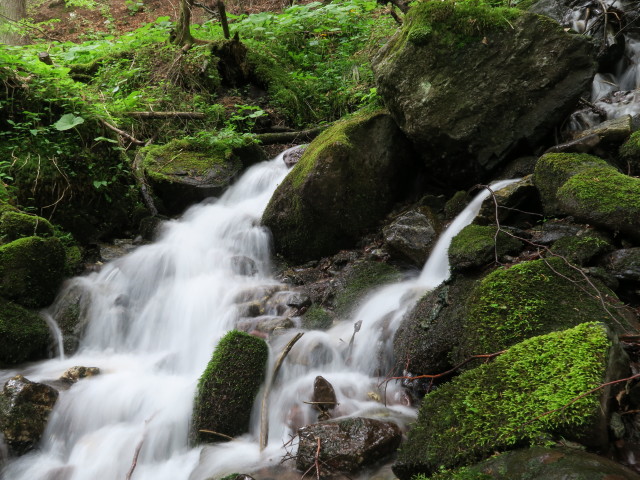 zwischen Lammerbach und Dobra