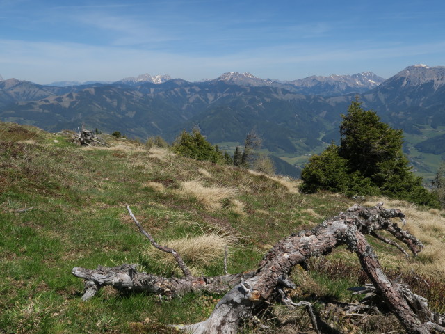zwischen Alpsteigerhütte und Mitterkogel