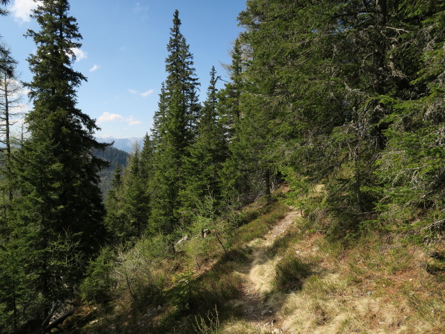 zwischen Antonikreuz und Alpsteigerhütte