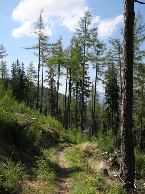 zwischen Antonikreuz und Alpsteigerhütte