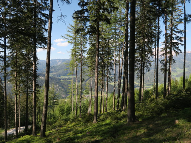 zwischen Alpsteigerhütte und 'Der wilde Berg'