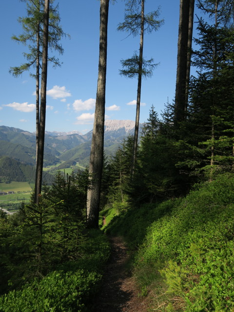 zwischen Alpsteigerhütte und 'Der wilde Berg'