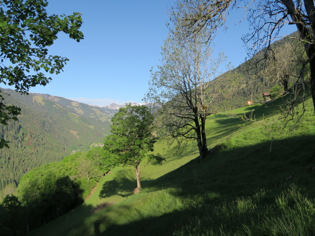 zwischen Ratzen und Stablberg (26. Mai)