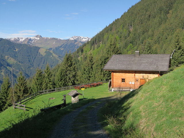 Gadenstättalm, 1.361 m (26. Mai)