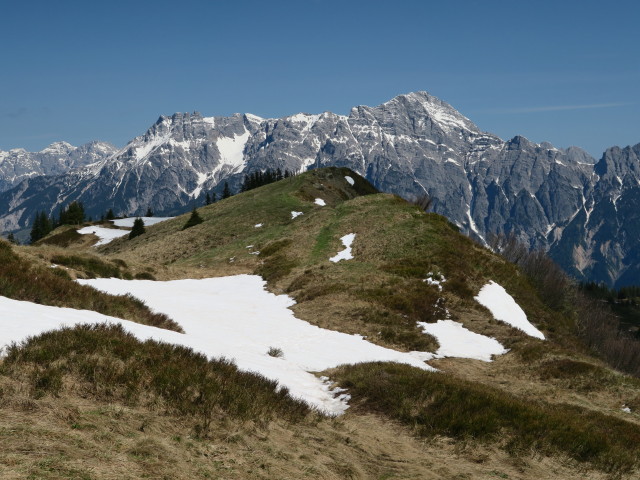 zwischen Sausteigen und Haiderbergkogel (26. Mai)